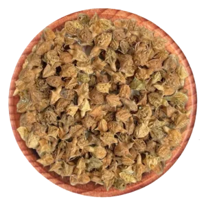 Tribulus Terrestris (Gokhru)