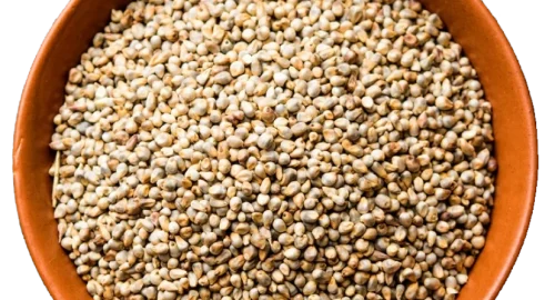 Untitled-design-1-3-3